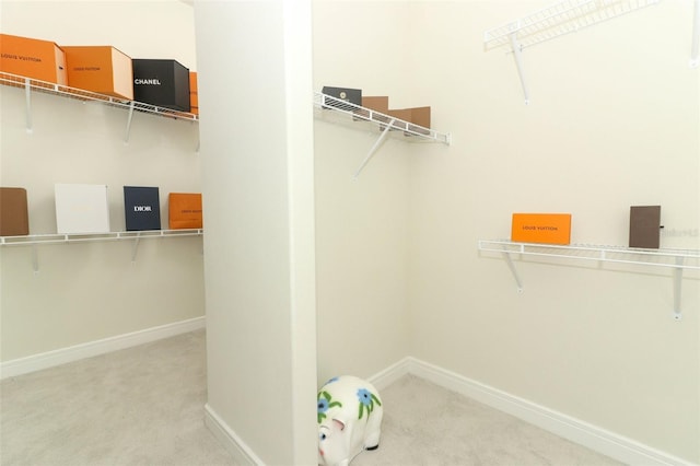 spacious closet featuring carpet floors