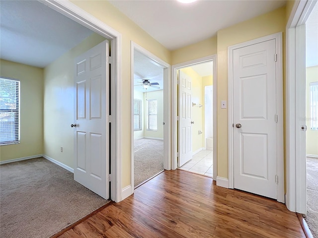 hall featuring light hardwood / wood-style floors