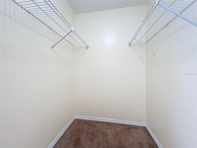 spacious closet featuring carpet flooring