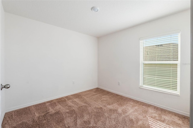 spare room featuring carpet flooring