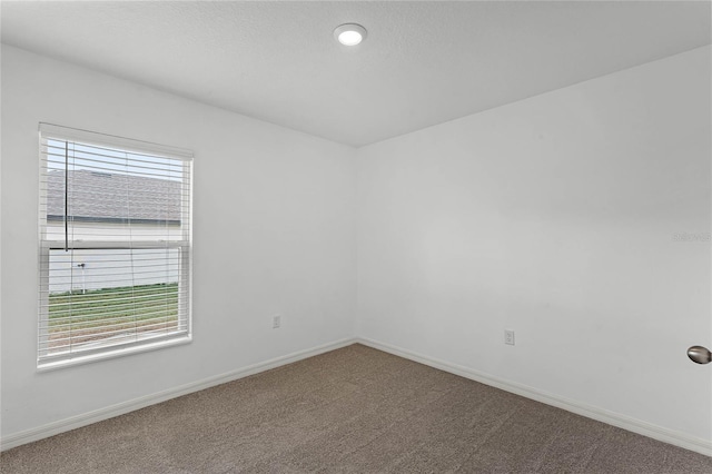 carpeted empty room featuring a healthy amount of sunlight