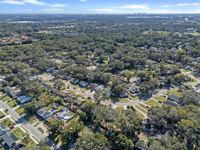 bird's eye view