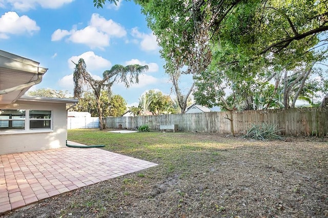 view of yard featuring a patio area