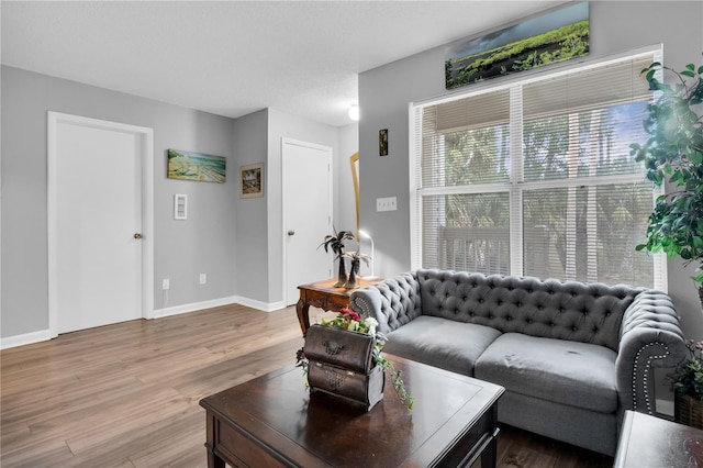 living room with light wood-type flooring