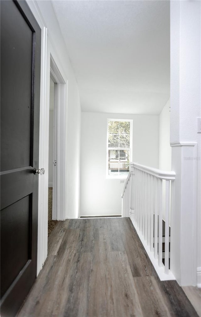 hallway featuring dark hardwood / wood-style flooring