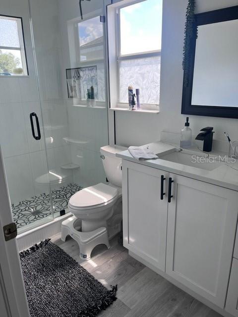 bathroom with hardwood / wood-style flooring, vanity, toilet, and a wealth of natural light