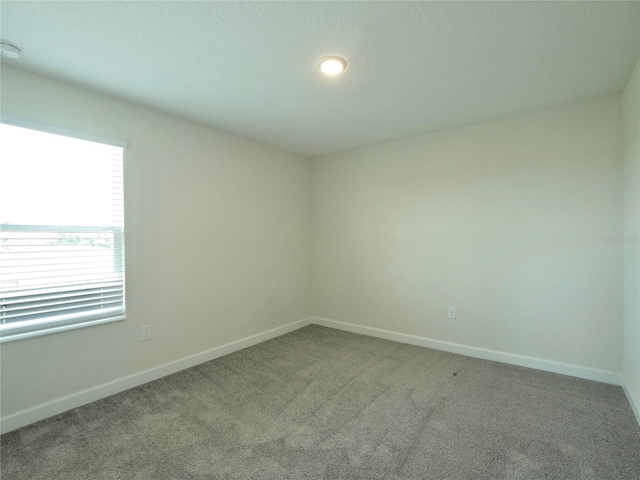 unfurnished room featuring carpet floors