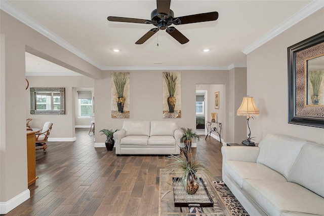 living room featuring ceiling fan, dark hardwood / wood-style floors, and ornamental molding