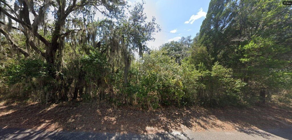 Beatty Rd, Babson Park, FL 33827 - photo 2