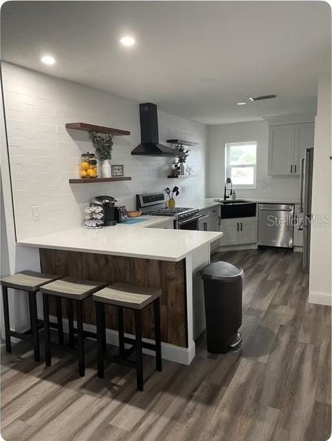 kitchen featuring sink, wall chimney range hood, dark hardwood / wood-style flooring, kitchen peninsula, and appliances with stainless steel finishes