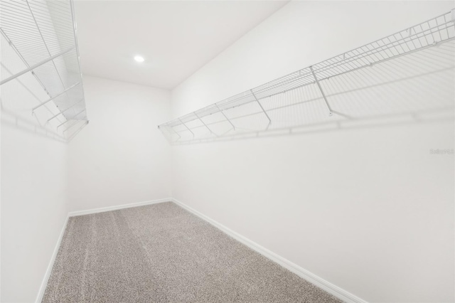 spacious closet featuring carpet floors