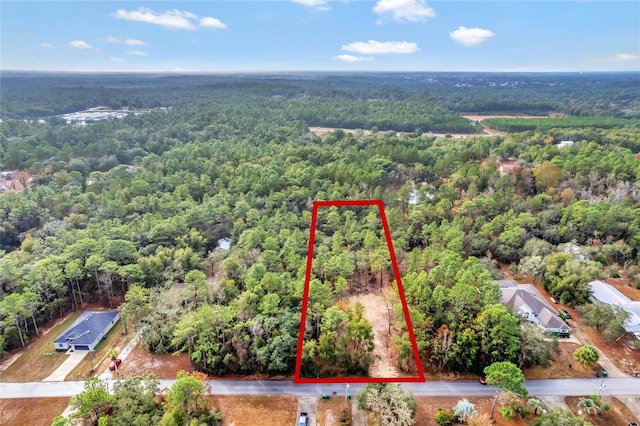 1716 E Bismark St, Hernando FL, 34442 land for sale