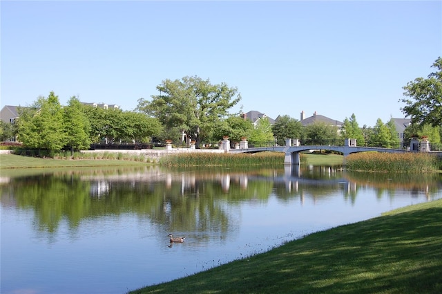 property view of water
