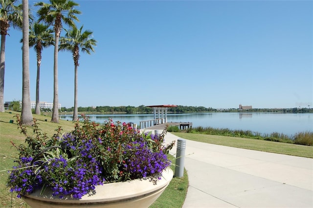 water view