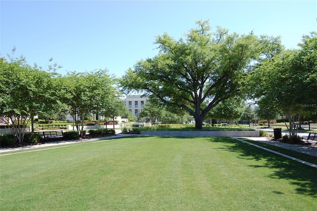 view of property's community featuring a yard