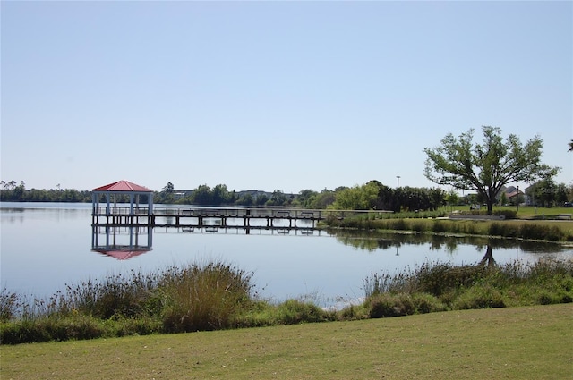 dock area with a water view