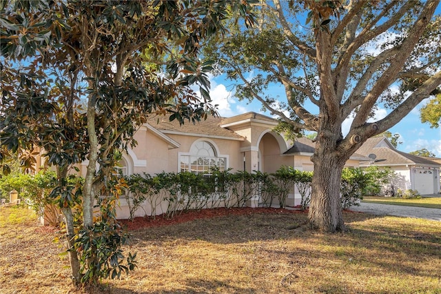 view of front facade with a front yard