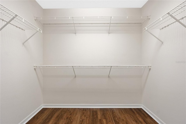 walk in closet with dark hardwood / wood-style floors