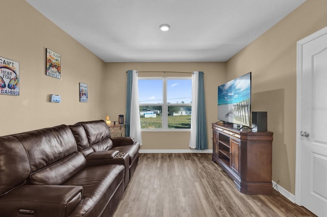 living room with hardwood / wood-style floors