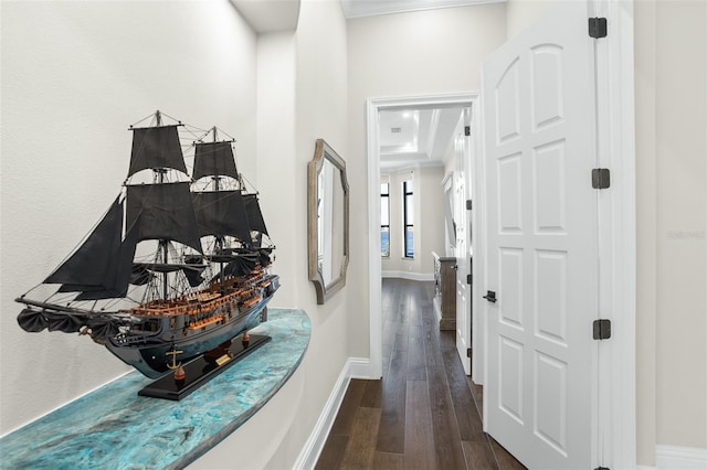 hallway featuring dark wood-type flooring and ornamental molding