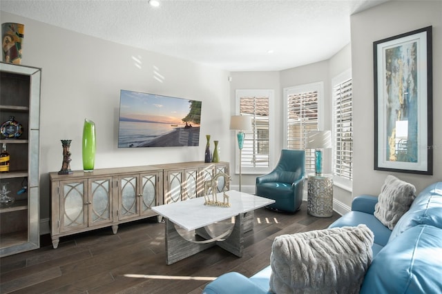 living room with dark hardwood / wood-style flooring and a textured ceiling