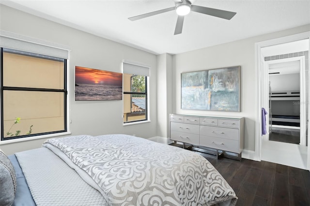 bedroom with dark wood-type flooring, ceiling fan, and a walk in closet