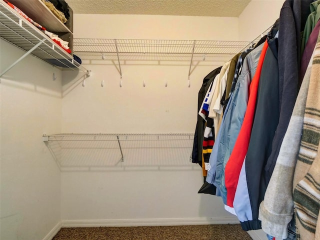 spacious closet with carpet flooring