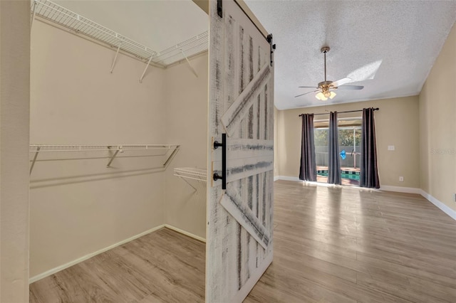 walk in closet with ceiling fan, a barn door, and light wood-type flooring