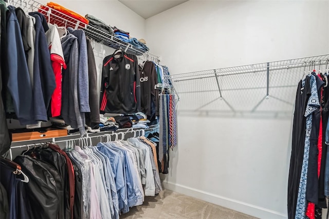 spacious closet with carpet