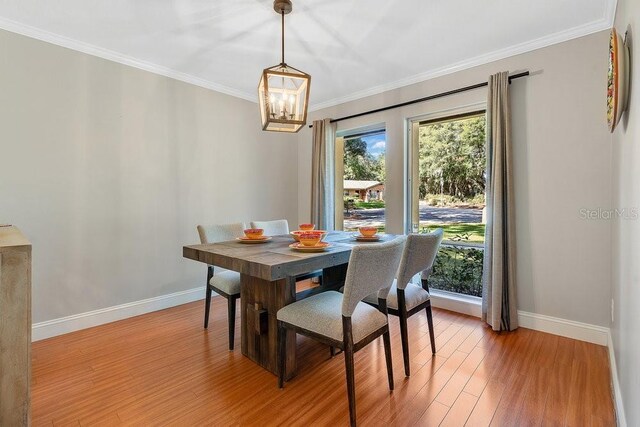 dining room with ornamental molding, plenty of natural light, and light wood finished floors