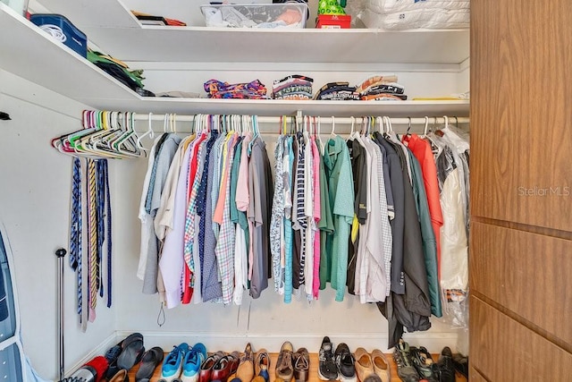 view of spacious closet