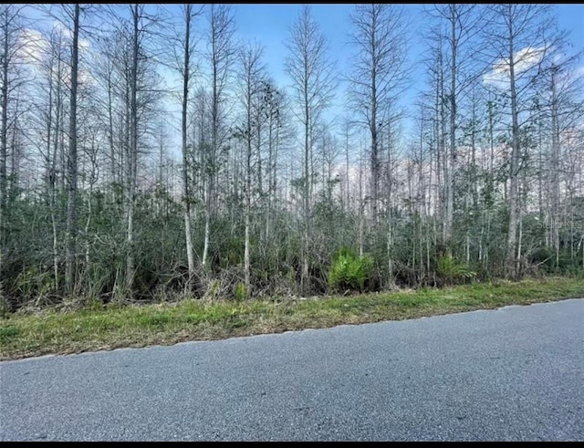 Luna Dr, Saint Cloud FL, 34773 land for sale