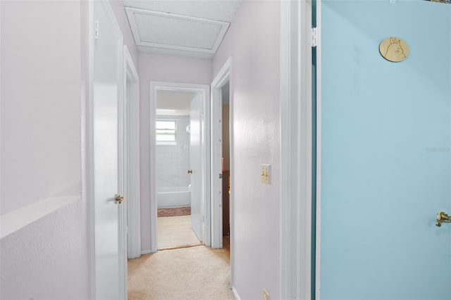 hallway with light colored carpet