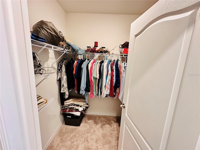 walk in closet with carpet