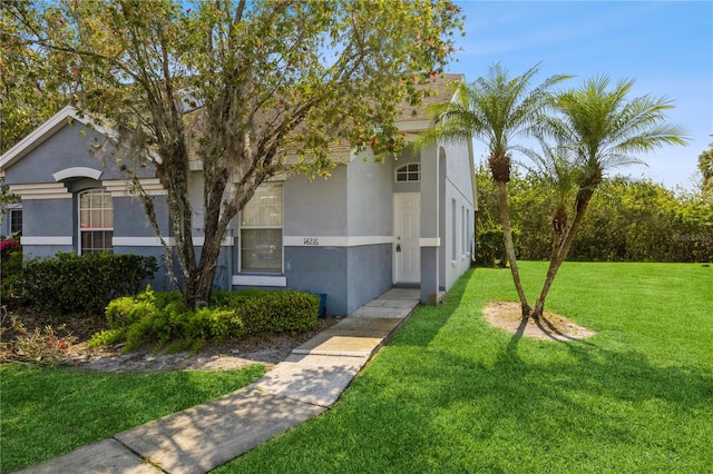 view of front of home featuring a front lawn and stucco siding