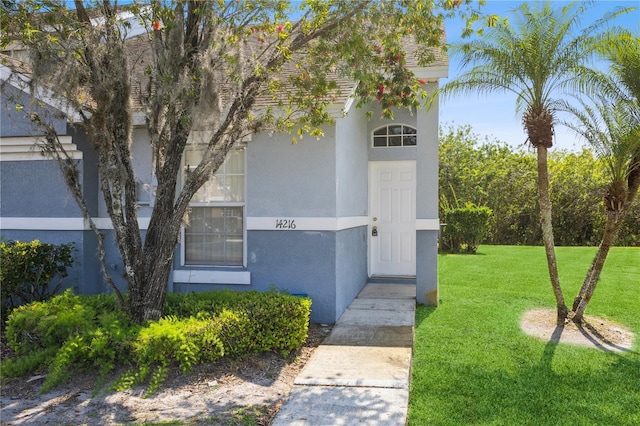 entrance to property featuring a lawn and stucco siding