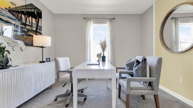 office area featuring light colored carpet