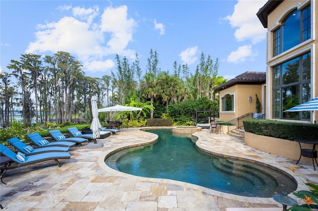 view of swimming pool with a patio area