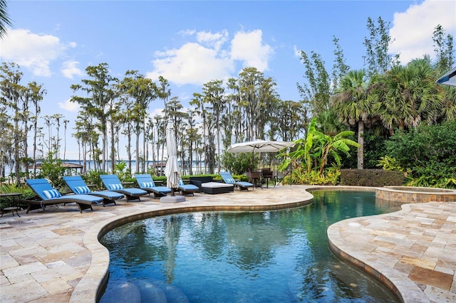 view of swimming pool with an in ground hot tub and a patio