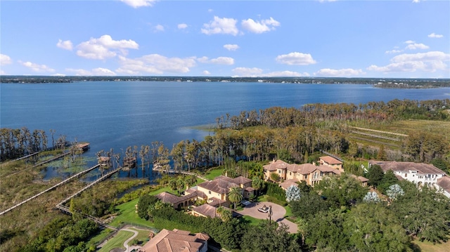 drone / aerial view with a water view