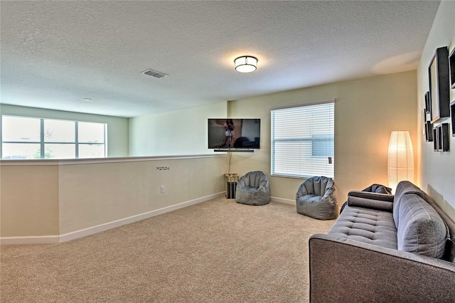 living area with carpet flooring and a textured ceiling