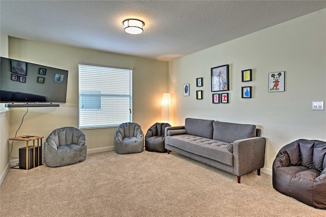 carpeted living room with a textured ceiling