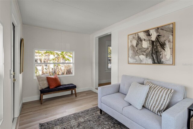 living room with hardwood / wood-style floors and a healthy amount of sunlight