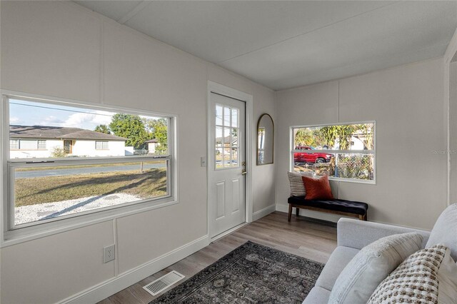 foyer featuring hardwood / wood-style floors and a healthy amount of sunlight