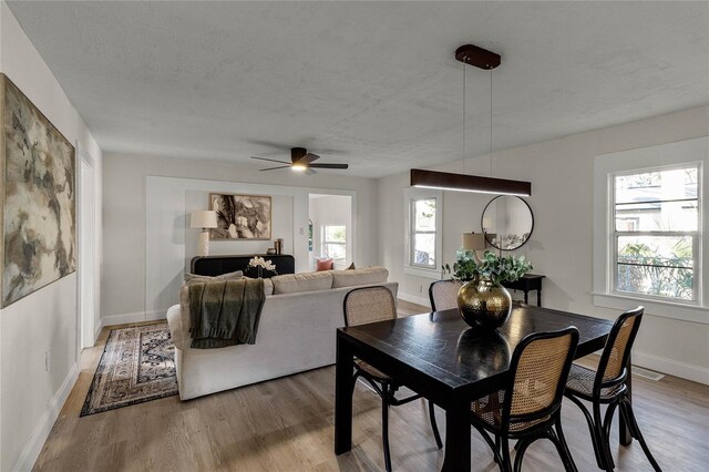 dining space featuring a textured ceiling, light hardwood / wood-style floors, plenty of natural light, and ceiling fan