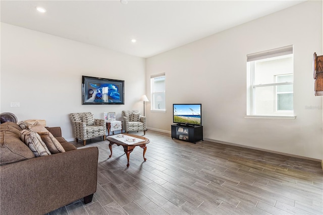 living room with hardwood / wood-style floors