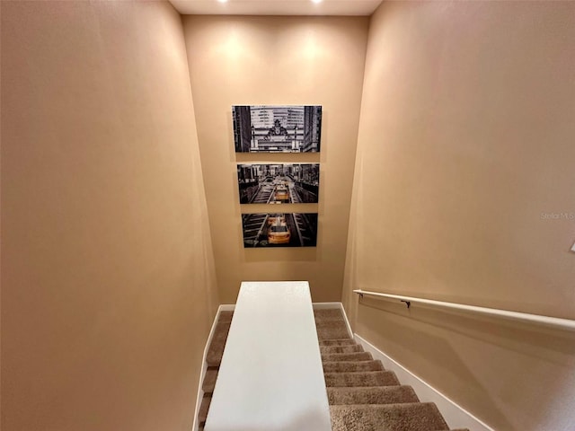 stairs with carpet floors