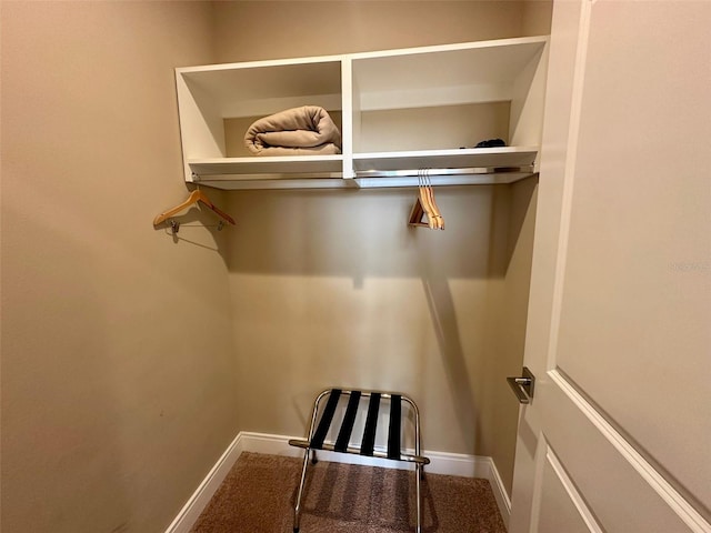 spacious closet with carpet floors