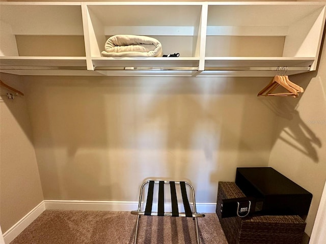 walk in closet with carpet flooring