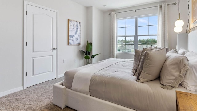 bedroom with carpet